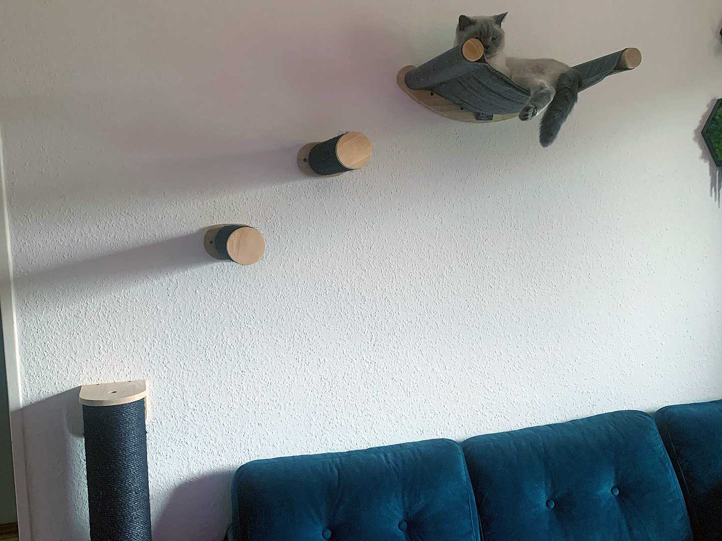 ...